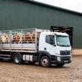 Navigating Transportation and Logistics in Livestock Marketing