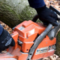 How Tree Service in Wyndmoor Supports Livestock Marketing and Property Care