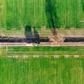Effective Livestock Marketing & Plant Health Care in Maysville
