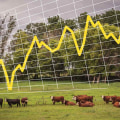 Understanding the Impact of Market Prices on Livestock Marketing