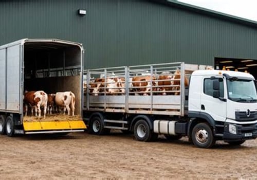 Navigating Transportation and Logistics in Livestock Marketing
