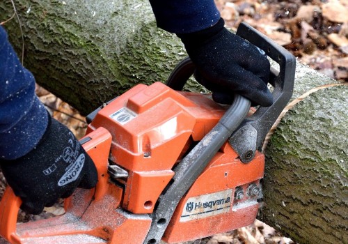How Tree Service in Wyndmoor Supports Livestock Marketing and Property Care