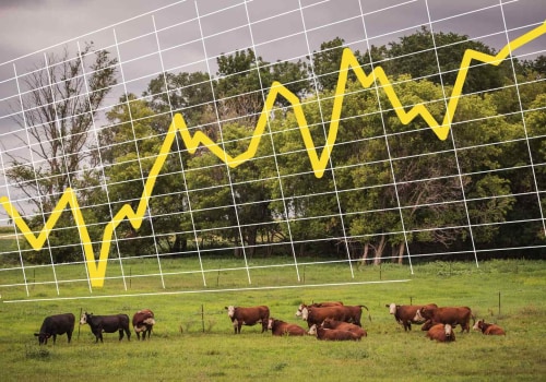 Understanding the Impact of Market Prices on Livestock Marketing