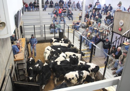 Understanding the Impact of Auctions on Livestock Marketing